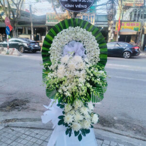 Mẫu 12