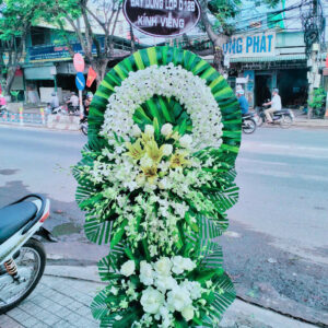 Mẫu 17