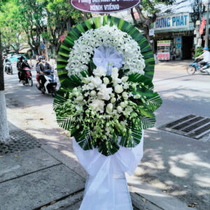 Mẫu 34