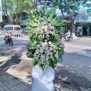 Mẫu 49