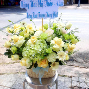 Hoa Khai Trương Mẫu 5