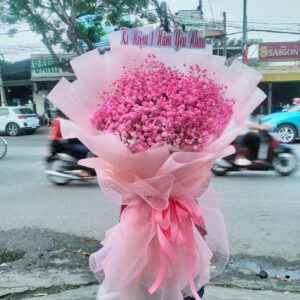 Hoa Bó Mẫu 1