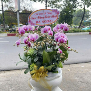 Hoa Khai Trương Mẫu 14