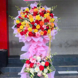 Hoa Khai Trương Mẫu 18