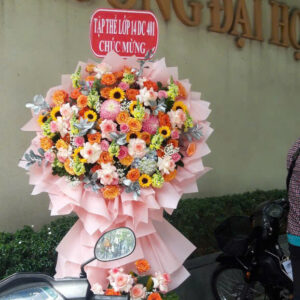 Hoa Khai Trương Mẫu 28