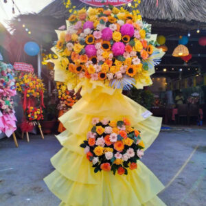 Hoa Khai Trương Mẫu 31