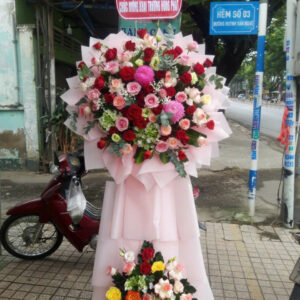 Hoa Khai Trương Mẫu 42