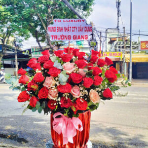 Hoa Khai Trương Mẫu 52