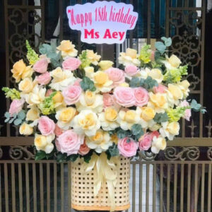 Hoa Khai Trương Mẫu 55