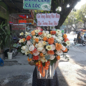 Hoa Khai Trương Mẫu 60