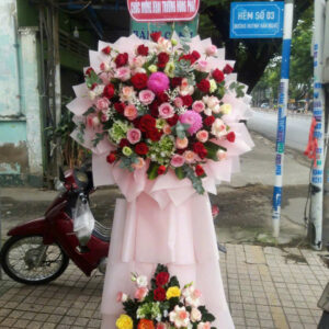 Hoa Khai Trương Mẫu 67