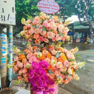 Hoa Khai Trương Mẫu 68